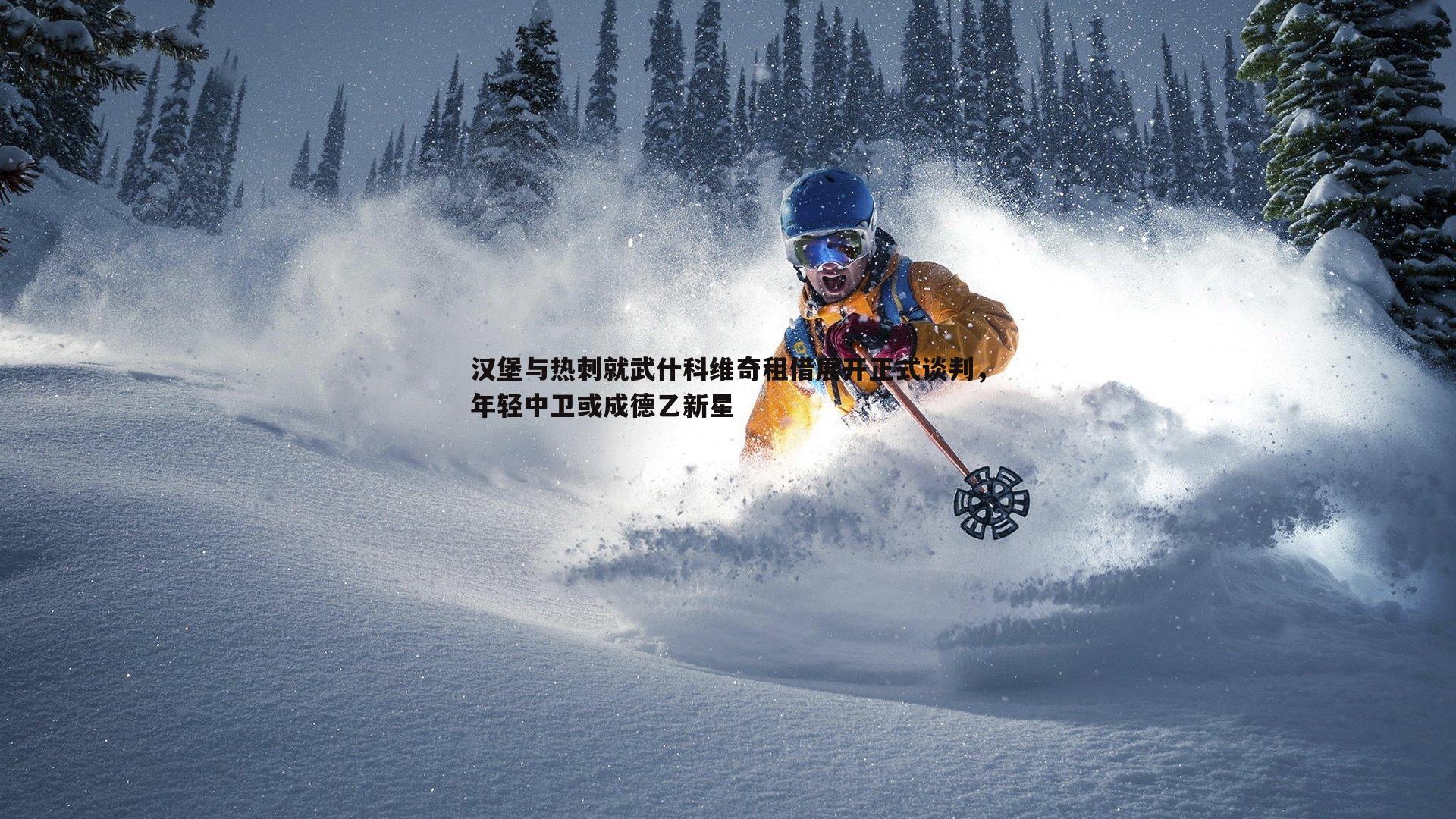 YY易游体育-汉堡与热刺就武什科维奇租借展开正式谈判，年轻中卫或成德乙新星