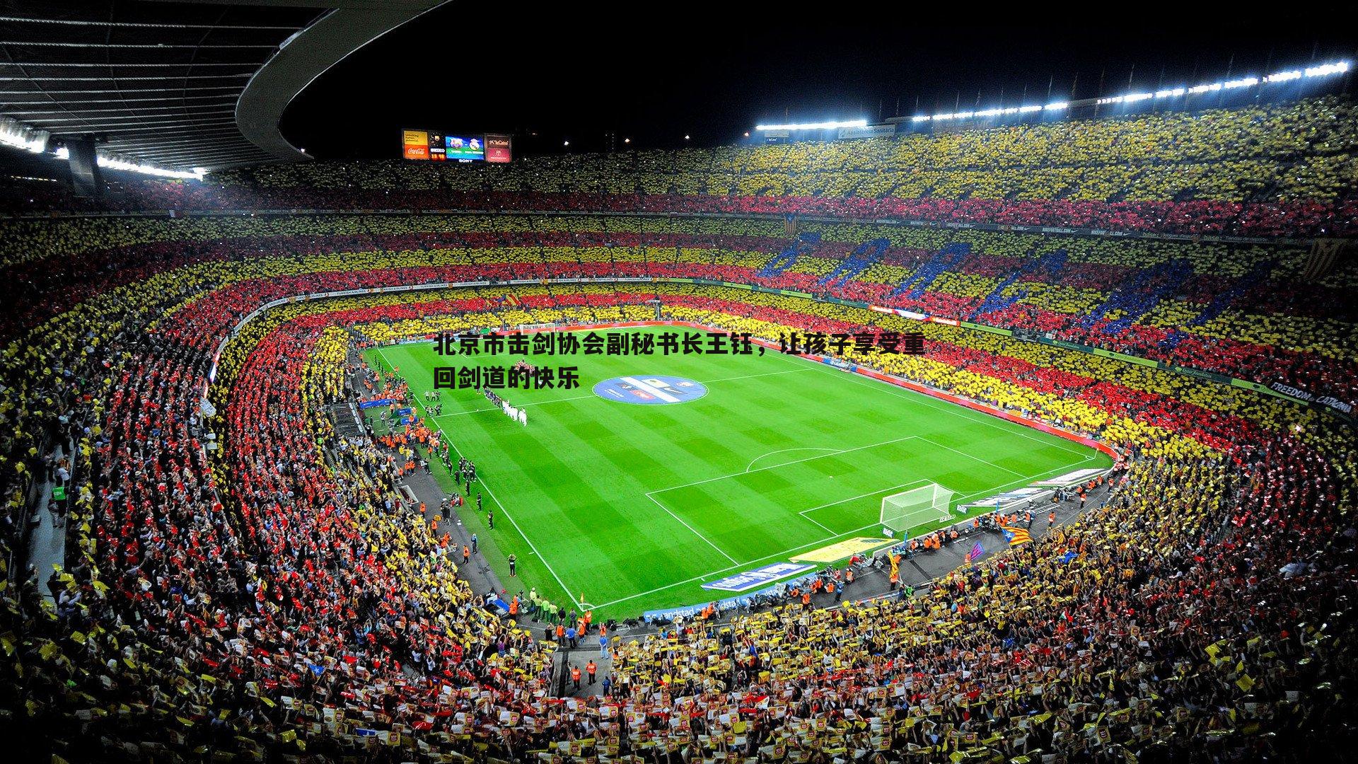 YY易游体育-北京市击剑协会副秘书长王钰，让孩子享受重回剑道的快乐